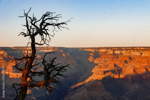 Grand Canyon in sunset sky