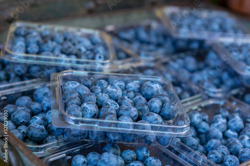 Punnets of fresh blueberries photo