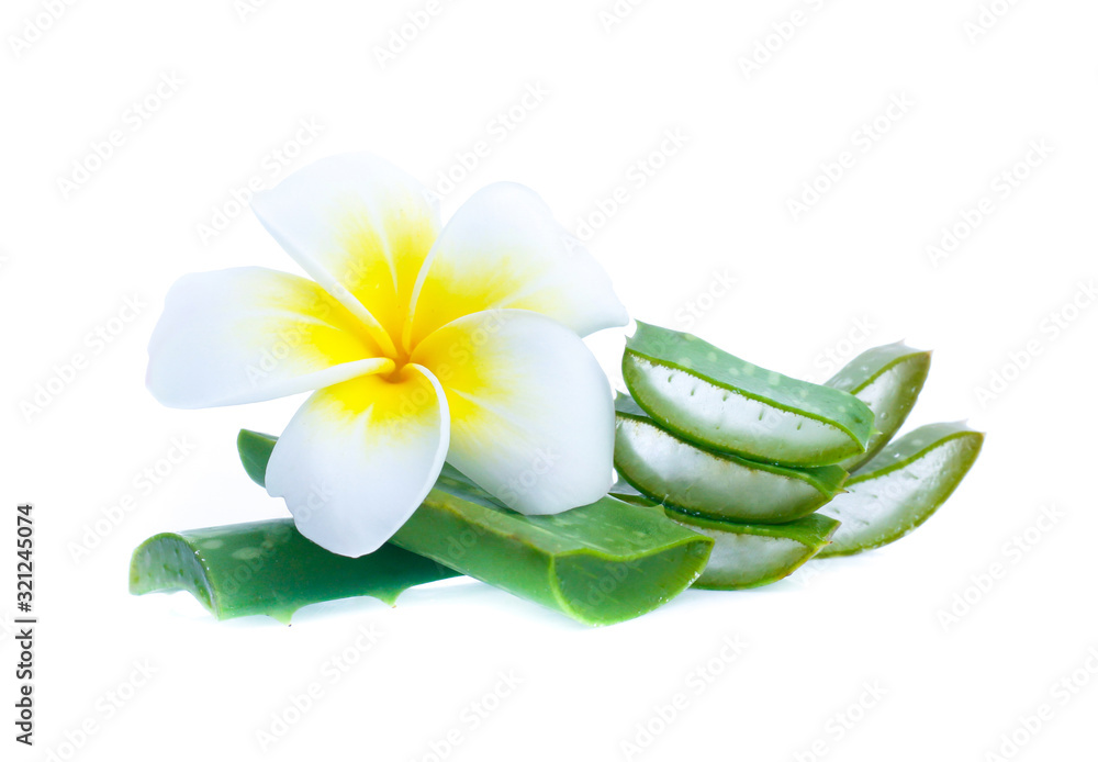 Aloe Vera sliced isolated on white background Aloe Vera sliced isolated on white background
