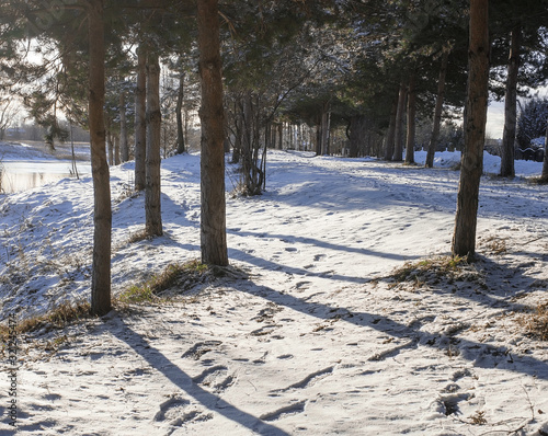  Footprints in the snow. Tvertsa River Embankment photo