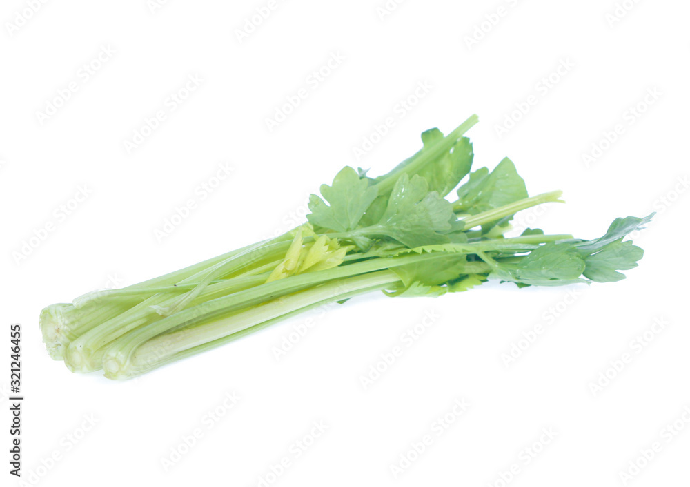 Obraz premium Celery isolated on a white background