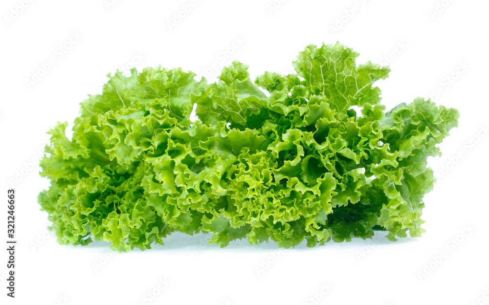 Lettuce isolated on white background Lettuce isolated on white background