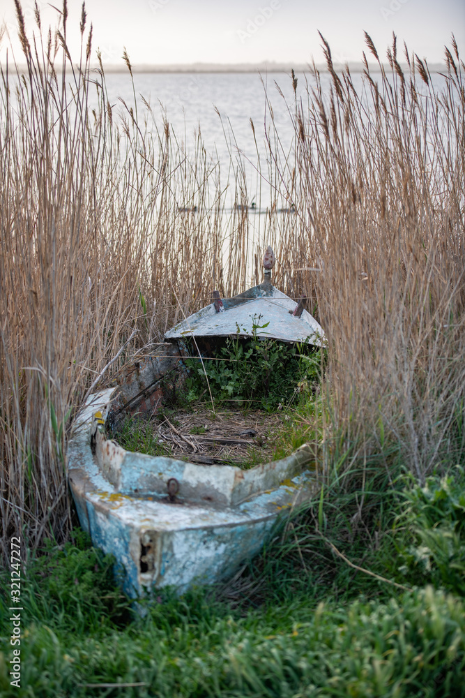 Very old wooden boat starting to fall apart. Flower arrangement on bow section. Very old wooden boat starting to fall apart. Flower arrangement on bow section.