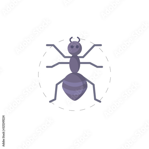 Ant vector flat illustration icon photo