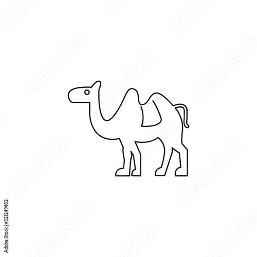 Camel vector line icon on white background