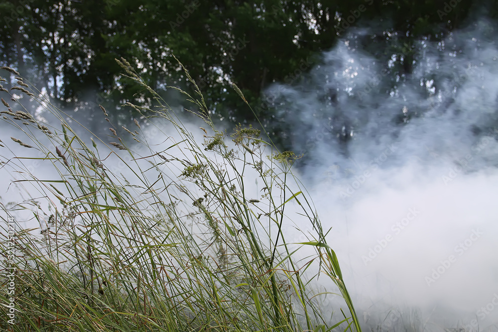 Smoke in the field from the burning grass in summer field Smoke in the field from the burning grass in summer field