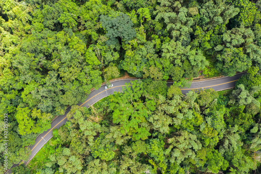 aerial view of road in forest at Sun Moon Lake