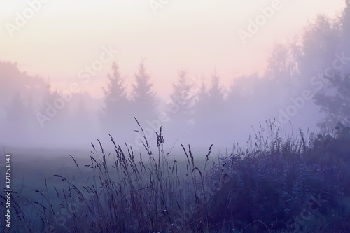 Evening mist on a field in countryside at summer.