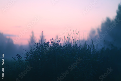 Evening mist on a field in countryside at summer.