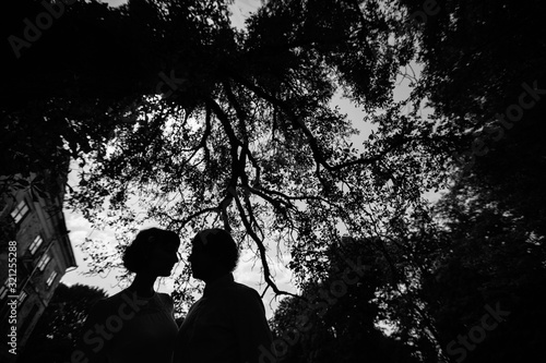 Love couple silhouette among trees looking at each other