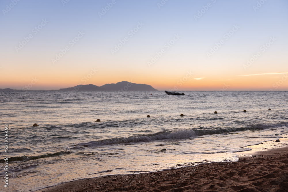 Fototapeta premium Red sea beach at sunrise