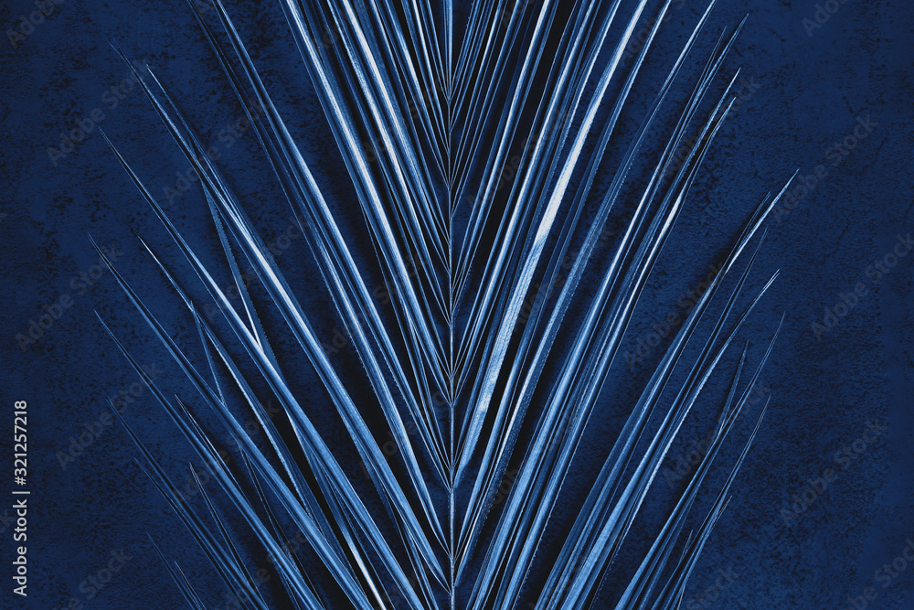 Obraz premium Closeup of metallic painted palm leaf on abstract dark blue textured background. Tropical conceptual luxury elegant trendy art deco summer background. Flat lay. Symmetric composition