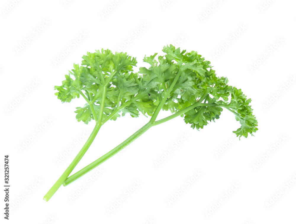 Parsley isolated on white background Parsley isolated on white background