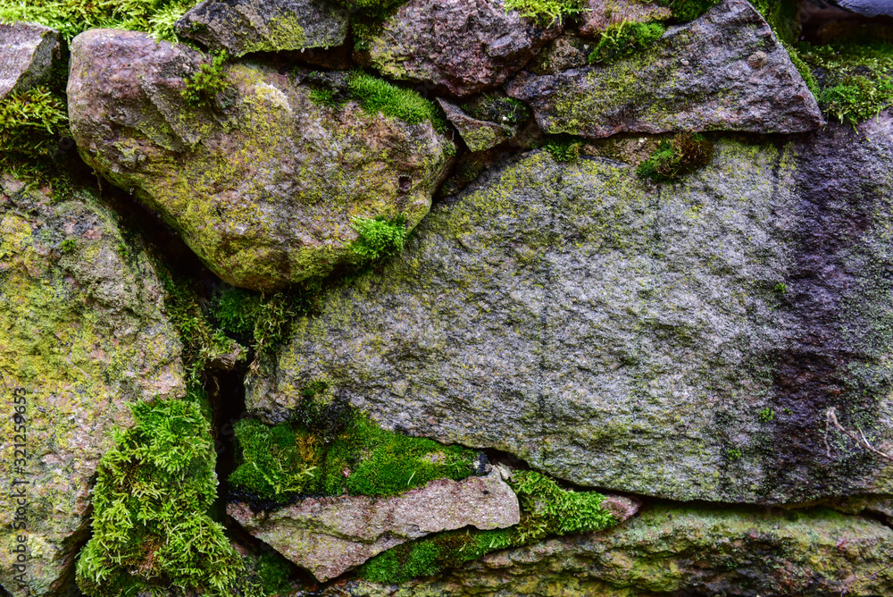 Stone and moss background. Photography for your design. Stone and moss background. Photography for your design.