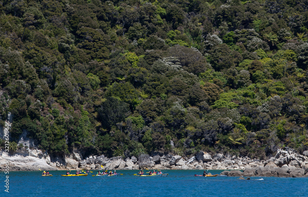 Abel tasman National Park New Zealand. Canoes