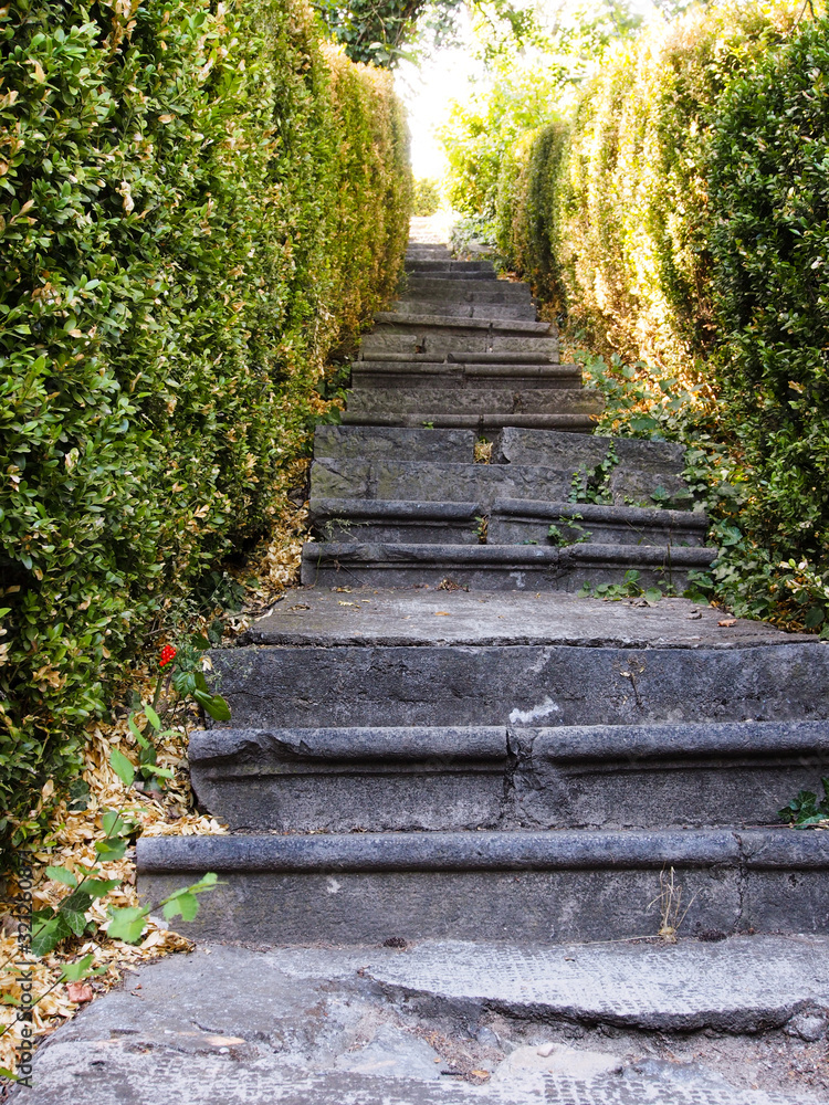 Stone steps leading up into the depths of a dense, magical evergreen forest. The concept of rest, recreation in nature. Stone steps leading up into the depths of a dense, magical evergreen forest. The concept of rest, recreation in nature.