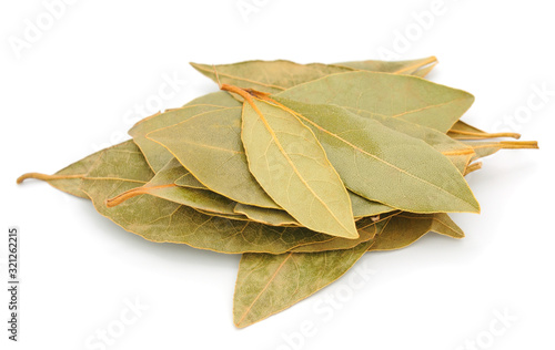 Fototapet Dry bay leaf.