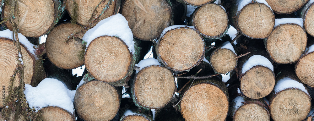 Fototapeta premium Pile of wooden logs under snow in winter, background, selective focus, banner