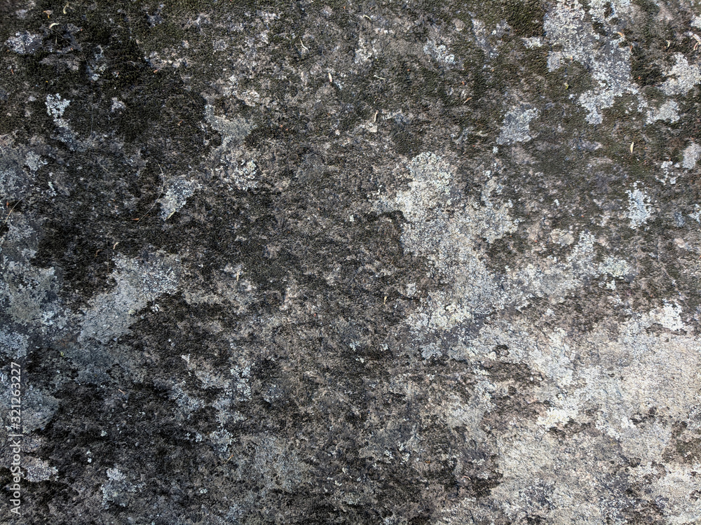 Grunge background texture of natural stone Grunge background texture of natural stone