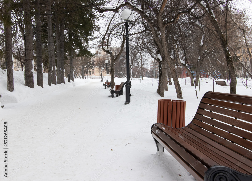 wooden bench in the winter park wooden bench in the winter park