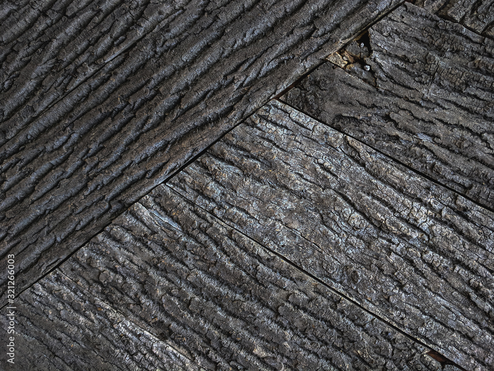 Atmospheric texture of natural wood bark