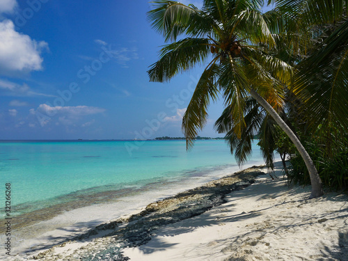 Fototapeta Naklejka Na Ścianę i Meble -  Beach with palm trees - Kuramathi Maldives