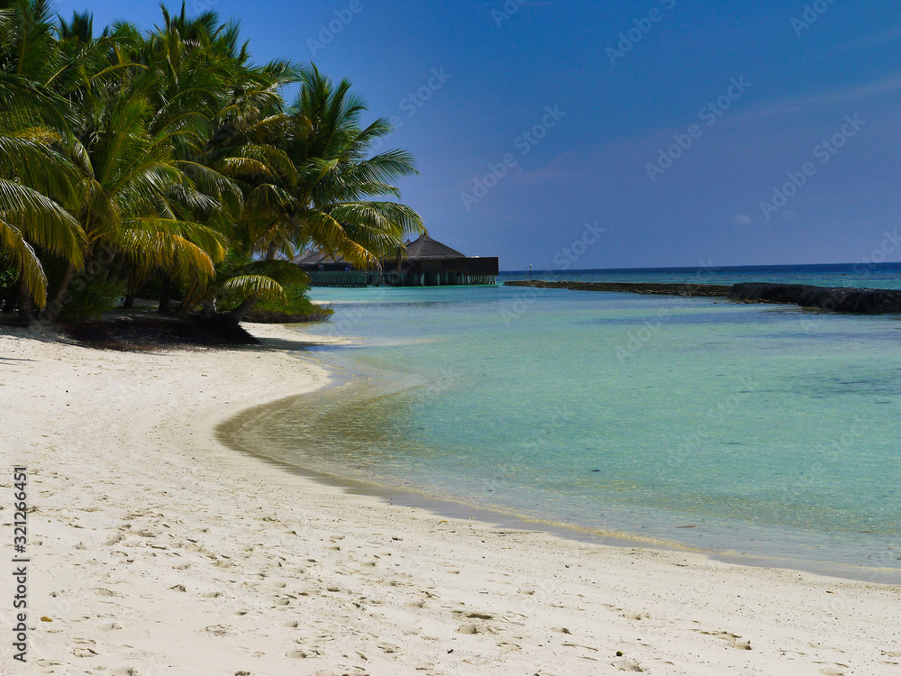 Beach with palm trees - Kuramathi Maldives