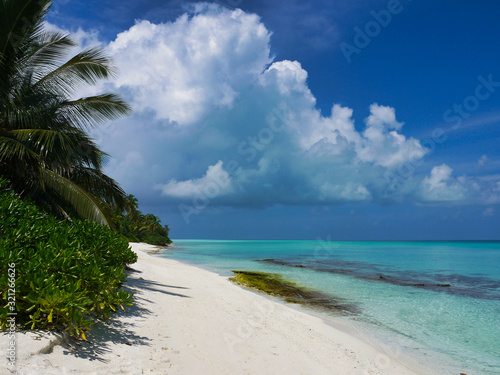 Fototapeta Naklejka Na Ścianę i Meble -  Beach with palm trees - Kuramathi Maldives