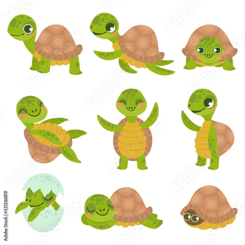 Cartoon smiling turtle. Funny little turtles, walking and swim tortoise animals vector set. Collection of cute friendly aquatic and terrestrial reptilians. Adorable sea and land dwelling reptiles.