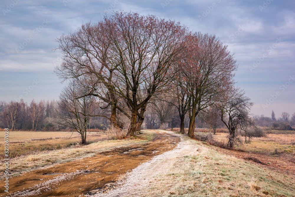 Road during a frosty morning in Oborskie Meadows, Konstancin Jeziorna, Poland