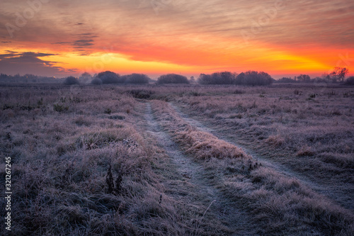 Road during a frosty morning in Oborskie Meadows, Konstancin Jeziorna, Poland