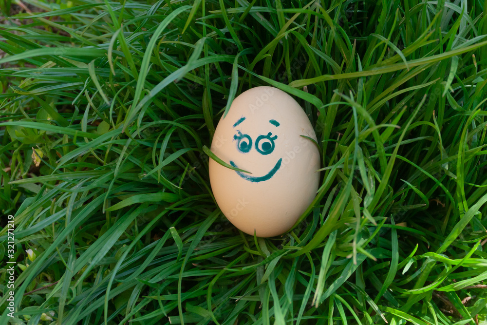 Easter egg with painted eyes and a smile lies in the bright green lawn grass. Funny colorful spring background for happy easter. Easter egg with painted eyes and a smile lies in the bright green lawn grass. Funny colorful spring background for happy easter.
