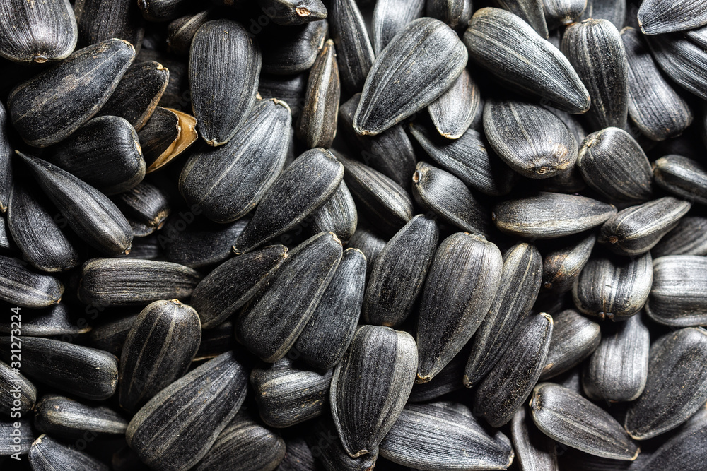 texture of sunflower seeds