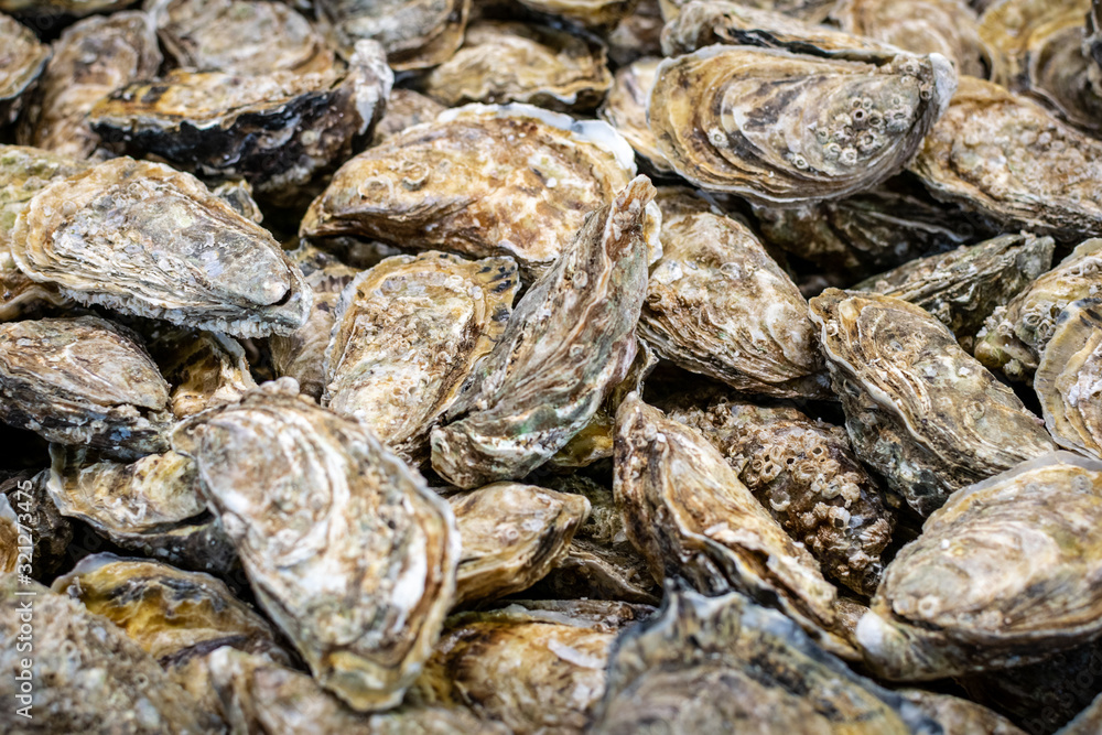 Oysters Box with many oysters in the market. Medium size, gray color. Oysters Box with many oysters in the market. Medium size, gray color.