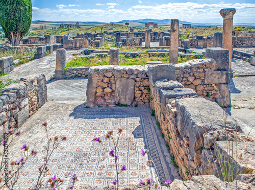 Mosaic in the house of a wealthy man. Volubilis. Morocco