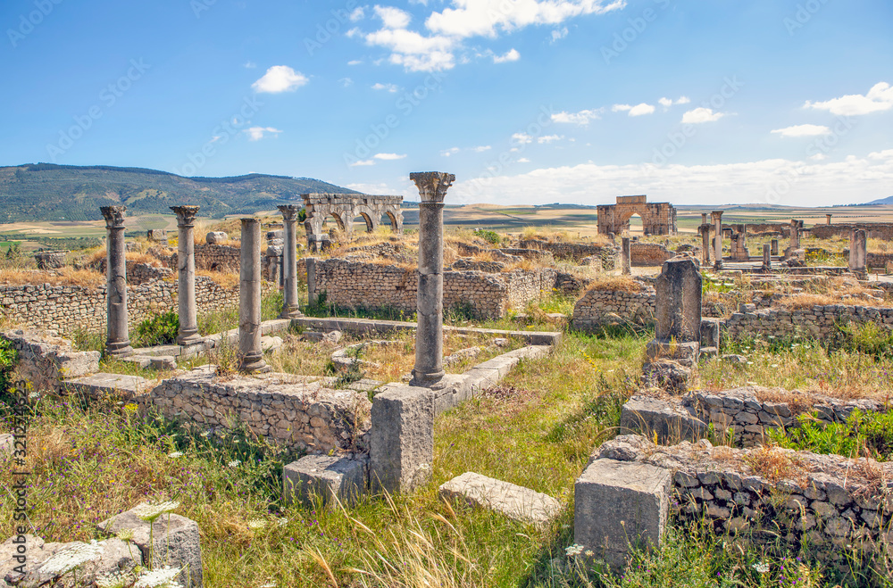 The ruins of the houses of the aristocracy of Volubilis. Morocco