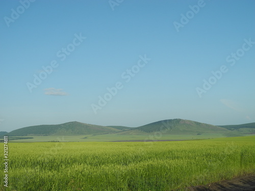 green field and blue sky