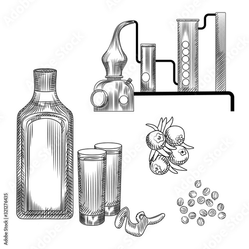 Set of gin in hand drawn style on white background.glasses with gin and tonic cocktail, alembic, coriander, lemon peel.