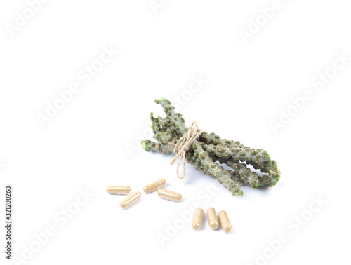 Tinospora cordifolia herb isolated on white background.
