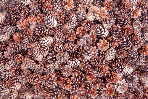 Brown pine cones background