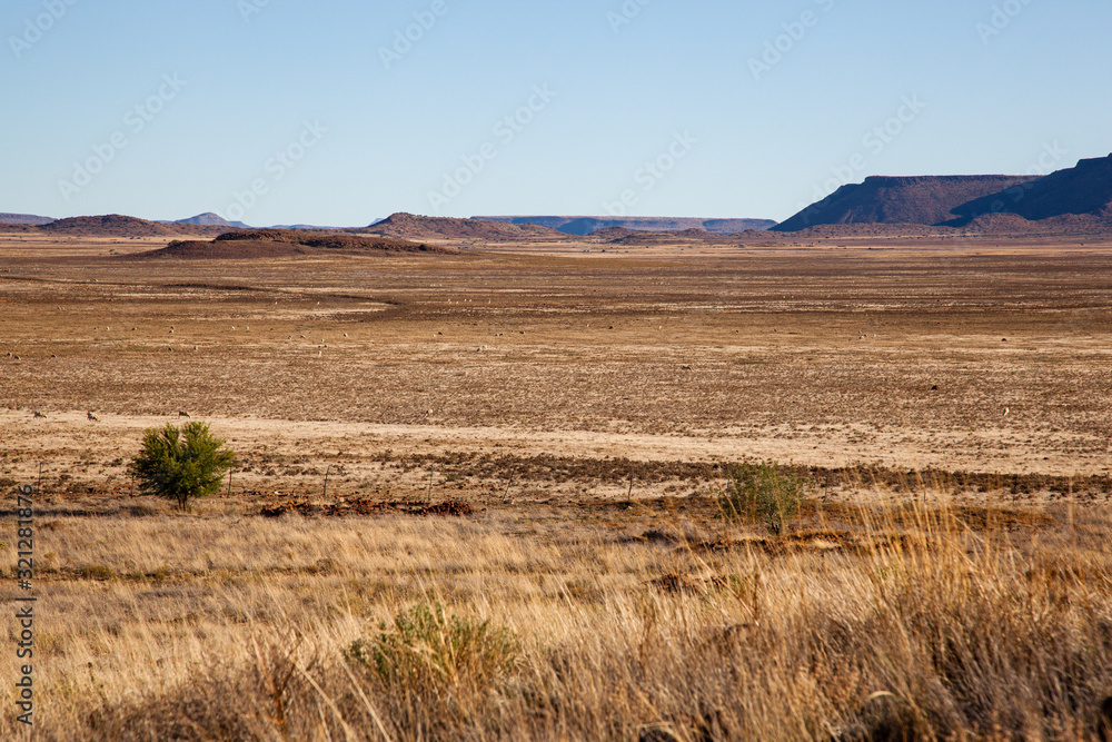 Farm landscapes of the Karoo Farm landscapes of the Karoo