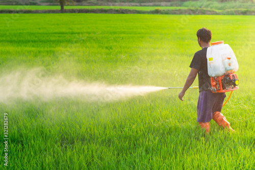 Farmers in the tropical monsoon region, Myanmar, Thailand, Laos, Malaysia, Indonesia, Philippines, Vietnam are spraying chemicals to control grass and eliminate pests in the rice fields.