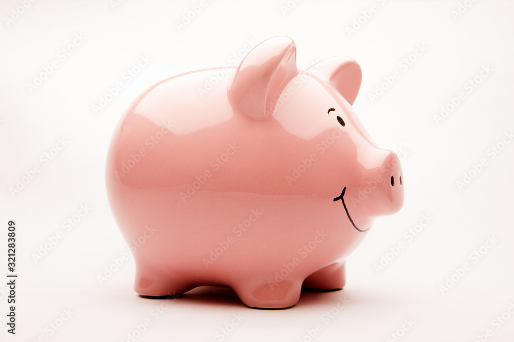 Pink Piggy Bank