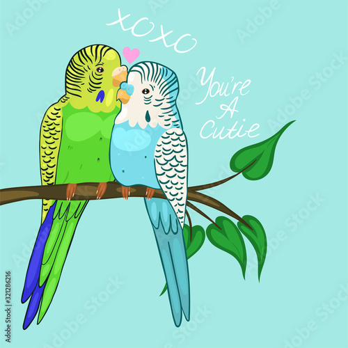 Greeting card with budgies in love. Blue and green budgies. Vector graphics
