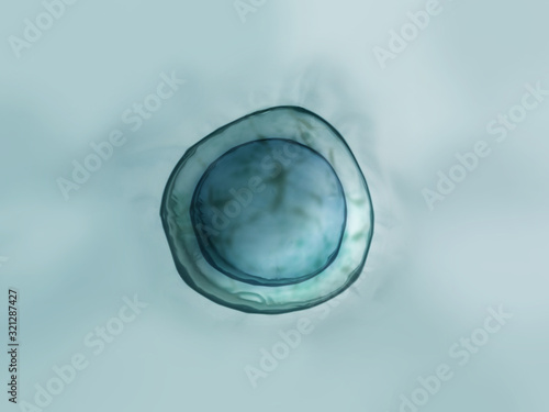 Fotografie Macro close up of soap bubbles look like scientific image of cell and cell membr