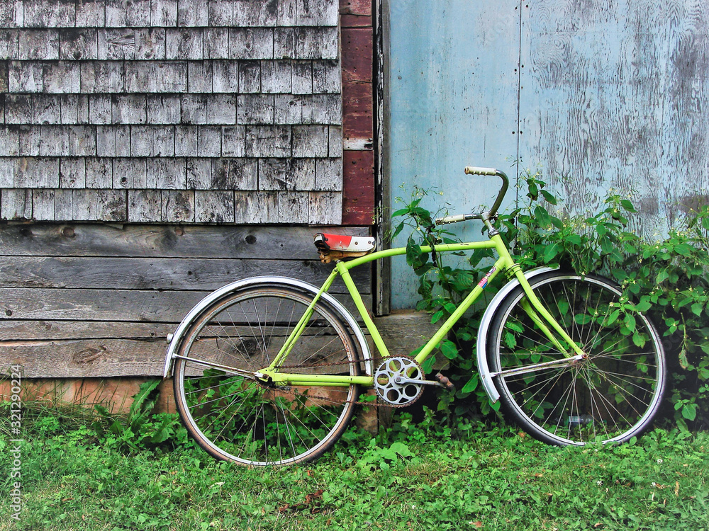 old green bicycle