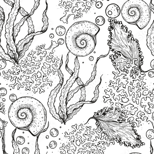 Seamless pattern. Underwater world hand drawn. Sketch illustration. Seaweed, coral, seashell illustration. Vintage design template. Undersea world collection. Black and white style.