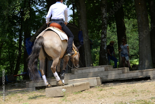 Treppensteigen für Pferde. Westernpferd mit Reiter im Trail Pacours photo