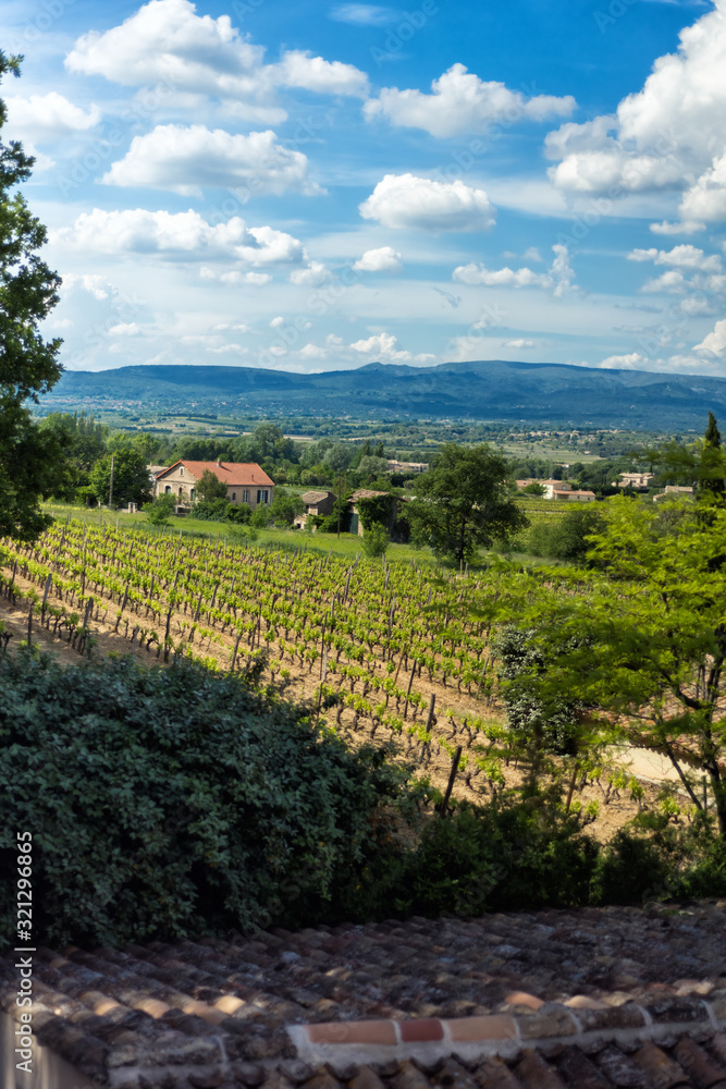 Verrtical scenic amazing view from Menerbes, one of most beautiful villages of France, of Luberon hills and vineyards in Provence, France. Rural agricultural french landscape. Travel destination