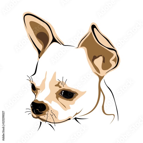 DOG HEAD ON WHITE BACKGROUND IN VECTOR